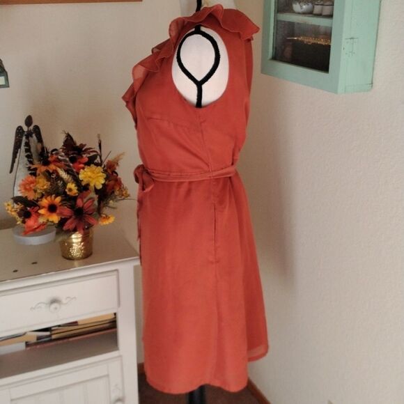 Merona Persimmon Dress  - Picture 5 of 10